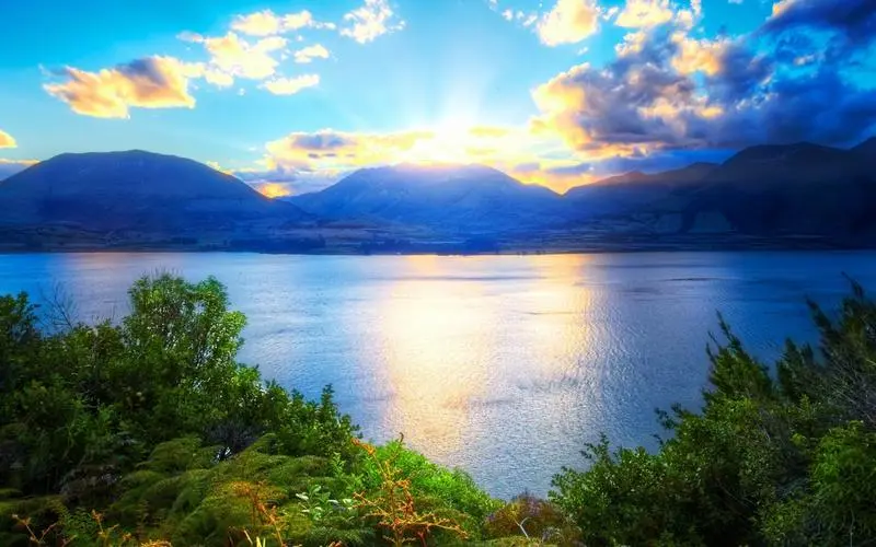 高效高性能新型